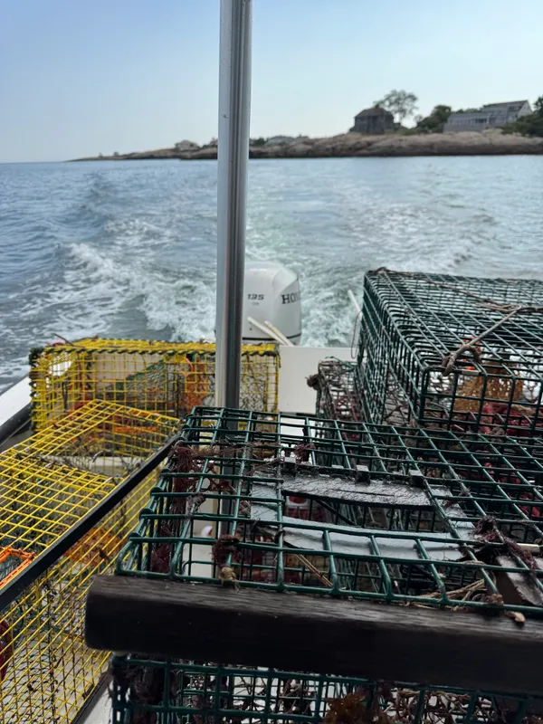 Sarah - Cherished memory